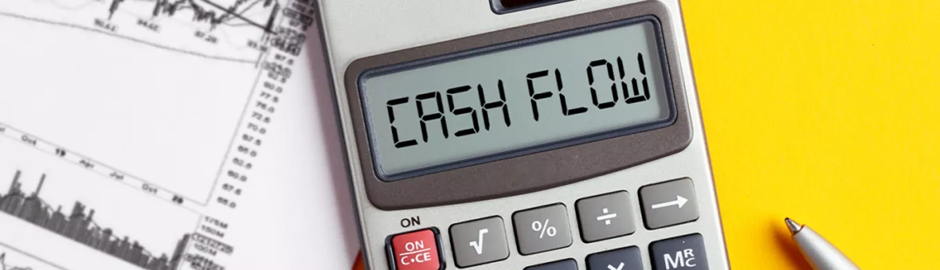 Flujo de caja