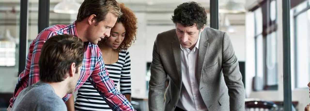 Nuestros colaboradores